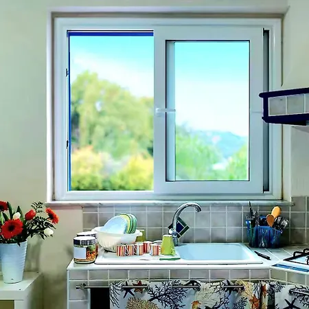 Magico Scafa - Marina *